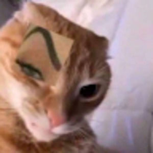 Meet your Posher, Breeana